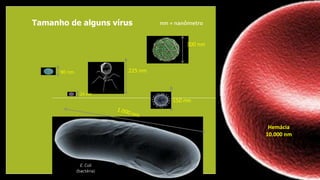 Tamanho de alguns vírus
225 nm
300 nm
90 nm
150 nm
Hemácia
10.000 nm
E. Coli
(bactéria)
24 nm
nm = nanômetro
 