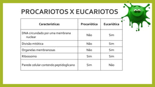 PROCARIOTOS X EUCARIOTOS
Características Procariótica Eucariótica
DNA circundado por uma membrana
nuclear
Não Sim
Divisão mitótica Não Sim
Organelas membranosas Não Sim
Ribossomo Sim Sim
Parede celular contendo peptidoglicano Sim Não
 