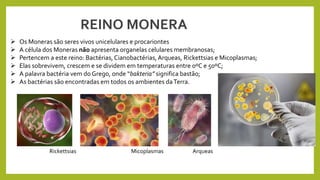  Os Moneras são seres vivos unicelulares e procariontes
 A célula dos Moneras não apresenta organelas celulares membranosas;
 Pertencem a este reino: Bactérias, Cianobactérias,Arqueas, Rickettsias e Micoplasmas;
 Elas sobrevivem, crescem e se dividem em temperaturas entre 0ºC e 50ºC;
 A palavra bactéria vem do Grego, onde “bakteria” significa bastão;
 As bactérias são encontradas em todos os ambientes daTerra.
REINO MONERA
Rickettsias Micoplasmas Arqueas
 
