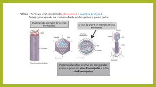 Vírion = Partícula viral completa (ácido nucléico + capsídeo protéico).
Serve como veículo na transmissão de um hospedeiro para o outro.
Podemos classificar os vírus em dois grandes
grupos: o grupo dos vírus Envelopados e o dos
não Envelopados.
O vírus da gripe é um exemplo de vírus
envelopado.
Os demais são exemplos de vírus não
envelopados.
 