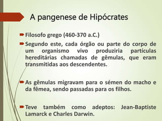 A pangenese de Hipócrates
Filosofo grego (460-370 a.C.)
Segundo este, cada órgão ou parte do corpo de
um organismo vivo produziria partículas
hereditárias chamadas de gêmulas, que eram
transmitidas aos descendentes.
As gêmulas migravam para o sémen do macho e
da fêmea, sendo passadas para os filhos.
Teve também como adeptos: Jean-Baptiste
Lamarck e Charles Darwin.
 