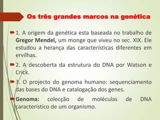 Os três grandes marcos na genética
1. A origem da genética esta baseada no trabalho de
Gregor Mendel, um monge que viveu no sec. XIX. Ele
estudou a herança das características diferentes em
ervilhas.
2. A descoberta da estrutura do DNA por Watson e
Crick.
3. O projecto do genoma humano: sequenciamento
das bases do DNA e catalogação dos genes.
Genoma: colecção de moléculas de DNA
característico de um organismo.
 