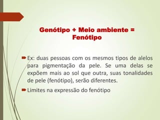 Genótipo + Meio ambiente =
Fenótipo
Ex: duas pessoas com os mesmos tipos de alelos
para pigmentação da pele. Se uma delas se
expõem mais ao sol que outra, suas tonalidades
de pele (fenótipo), serão diferentes.
Limites na expressão do fenótipo
 