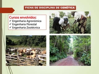 FICHA DE DISCIPLINA DE GENÉTICA
Cursos envolvidos:
 Engenharia Agronómica
 Engenharia Florestal
 Engenharia Zootécnica
 