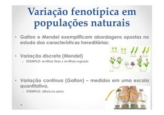 Variação fenotípica em
populações naturais
• Galton e Mendel exemplificam abordagens opostas no
estudo das características hereditárias:
• Variação discreta (Mendel)
o EXEMPLO: ervilhas lisas x ervilhas rugosas
• Variação contínua (Galton) – medidos em uma escala
quantitativa.
o EXEMPLO: altura ou peso
 