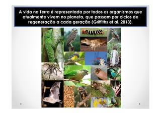 A vida na Terra é representada por todos os organismos que
atualmente vivem no planeta, que passam por ciclos de
regeneração a cada geração (Griffiths et al. 2013).
 