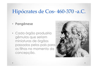 Hipócrates de Cos- 460-370 -a.C.
• Pangênese
• Cada órgão produziria
gêmulas que seriam
miniaturas de órgãos
passados pelos pais para
os filhos no momento da
concepção.
 
