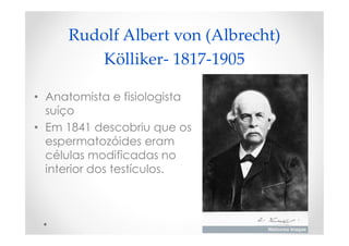 Rudolf Albert von (Albrecht)
Kölliker- 1817-1905
• Anatomista e fisiologista
suíço
• Em 1841 descobriu que os
espermatozóides eram
células modificadas no
interior dos testículos.
 