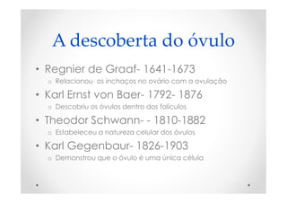 A descoberta do óvulo
• Regnier de Graaf- 1641-1673
o Relacionou os inchaços no ovário com a ovulação
• Karl Ernst von Baer- 1792- 1876
o Descobriu os óvulos dentro dos folículos
• Theodor Schwann- - 1810-1882
o Estabeleceu a natureza celular dos óvulos
• Karl Gegenbaur- 1826-1903
o Demonstrou que o óvulo é uma única célula
 