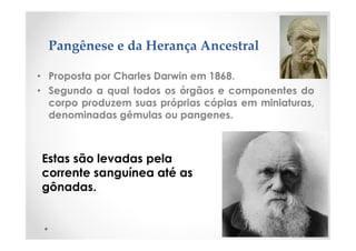 Pangênese e da Herança Ancestral
• Proposta por Charles Darwin em 1868.
• Segundo a qual todos os órgãos e componentes do
corpo produzem suas próprias cópias em miniaturas,
denominadas gêmulas ou pangenes.
Estas são levadas pela
corrente sanguínea até as
gônadas.
 