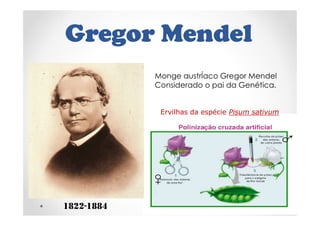 Gregor Mendel
1822-1884
Ervilhas da espécie Pisum sativum
Monge austrÍaco Gregor Mendel
Considerado o pai da Genética.
 