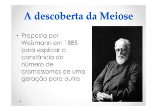 A descoberta da Meiose
• Proposta por
Weismann em 1885
para explicar a
constância do
número de
cromossomos de uma
geração para outra
 