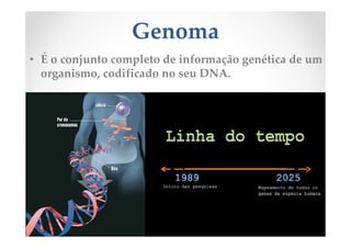 Genoma
• É o conjunto completo de informação genética de um
organismo, codificado no seu DNA.
 