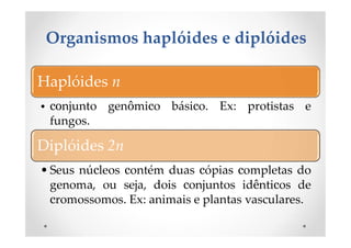 Organismos haplóides e diplóides
Haplóides n
• conjunto genômico básico. Ex: protistas e
fungos.
Diplóides 2n
• Seus núcleos contém duas cópias completas do
genoma, ou seja, dois conjuntos idênticos de
cromossomos. Ex: animais e plantas vasculares.
 