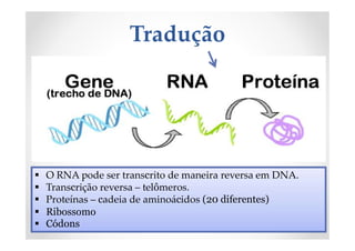 Tradução
 O RNA pode ser transcrito de maneira reversa em DNA.
 Transcrição reversa – telômeros.
 Proteínas – cadeia de aminoácidos (20 diferentes)
 Ribossomo
 Códons
 