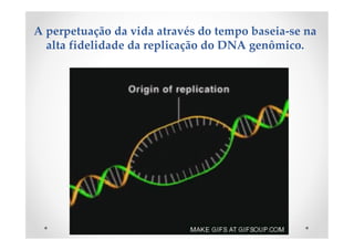 A perpetuação da vida através do tempo baseia-se na
alta fidelidade da replicação do DNA genômico.
 