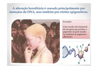 A alteração hereditária é causada principalmente por
mutações do DNA, mas também por efeitos epigenéticos.
Exemplo:
Uma versão não funcional
de um gene que produz o
pigmento da pele resulta
na ausência do pigmento -
albinismo.
 