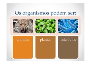 Os organismos podem ser:
animais plantas micróbios
 
