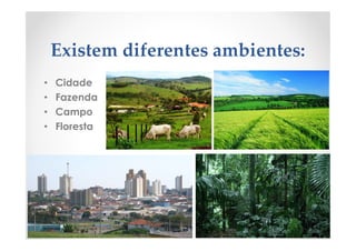 Existem diferentes ambientes:
• Cidade
• Fazenda
• Campo
• Floresta
 