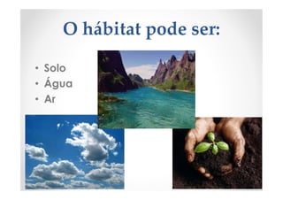 O hábitat pode ser:
• Solo
• Água
• Ar
 