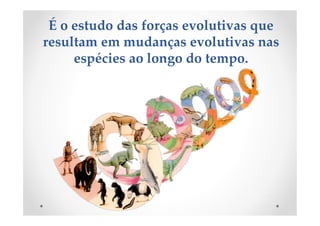 É o estudo das forças evolutivas que
resultam em mudanças evolutivas nas
espécies ao longo do tempo.
 