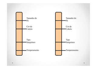 Tamanho do
Pé
Cor de
Cabelo
Tipo
Sanguíneo
Temperamento
Tamanho do
Pé
Cor de
Cabelo
Tipo
Sanguíneo
Temperamento
 