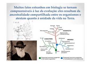 Muitos fatos estranhos em biologia se tornam
compreensíveis à luz da evolução: eles resultam da
ancestralidade compartilhada entre os organismos e
atestam quanto à unidade da vida na Terra.
 