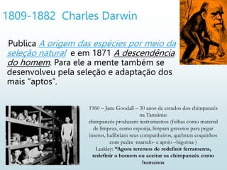1809-1882 Charles Darwin
Publica A origem das espécies por meio da
seleção natural e em 1871 A descendência
do homem. Para ele a mente também se
desenvolveu pela seleção e adaptação dos
mais “aptos”.
1960 – Jane Goodall – 30 anos de estudos dos chimpanzés
na Tanzânia:
chimpanzés produzem instrumentos (folhas como material
de limpeza, como esponja, limpam gravetos para pegar
insetos, ludibriam seus companheiros, quebram coquinhos
com pedra -martelo- e apoio –bigorna-)
Leakley: “Agora teremos de redefinir ferramenta,
redefinir o homem ou aceitar os chimpanzés como
humanos
 