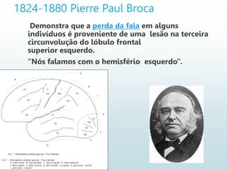 1824-1880 Pierre Paul Broca
Demonstra que a perda da fala em alguns
indivíduos é proveniente de uma lesão na terceira
circunvolução do lóbulo frontal
superior esquerdo.
“Nós falamos com o hemisfério esquerdo”.
 