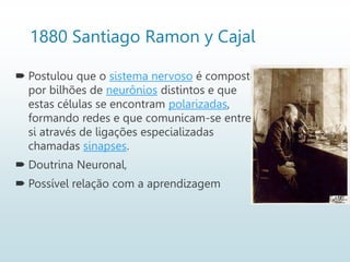 1880 Santiago Ramon y Cajal
 Postulou que o sistema nervoso é composto
por bilhões de neurônios distintos e que
estas células se encontram polarizadas,
formando redes e que comunicam-se entre
si através de ligações especializadas
chamadas sinapses.
 Doutrina Neuronal,
 Possível relação com a aprendizagem
 