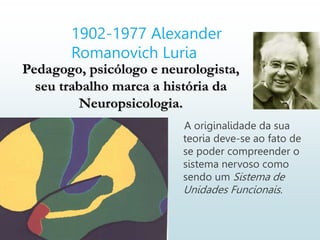 1902-1977 Alexander
Romanovich Luria
A originalidade da sua
teoria deve-se ao fato de
se poder compreender o
sistema nervoso como
sendo um Sistema de
Unidades Funcionais.
Pedagogo, psicólogo e neurologista,
seu trabalho marca a história da
Neuropsicologia.
 