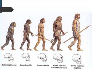 aula 1 (histórico  de neuropsicologia).ppt