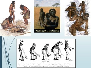 aula 1 (histórico  de neuropsicologia).ppt