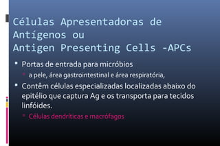 Células Apresentadoras de
Antígenos ou
Antigen Presenting Cells -APCs
 Portas de entrada para micróbios
 a pele, área gastrointestinal e área respiratória,
 Contêm células especializadas localizadas abaixo do
epitélio que captura Ag e os transporta para tecidos
linfóides.
 Células dendríticas e macrófagos
 