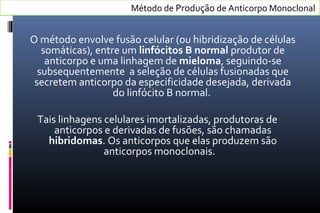 Método de Produção de Anticorpo Monoclonal
O método envolve fusão celular (ou hibridização de células
somáticas), entre um linfócitos B normal produtor de
anticorpo e uma linhagem de mieloma, seguindo-se
subsequentemente a seleção de células fusionadas que
secretem anticorpo da especificidade desejada, derivada
do linfócito B normal.
Tais linhagens celulares imortalizadas, produtoras de
anticorpos e derivadas de fusões, são chamadas
hibridomas. Os anticorpos que elas produzem são
anticorpos monoclonais.
 