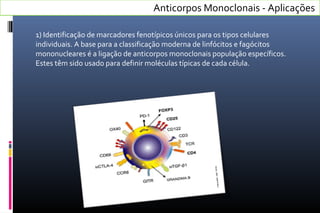 1) Identificação de marcadores fenotípicos únicos para os tipos celulares
individuais. A base para a classificação moderna de linfócitos e fagócitos
mononucleares é a ligação de anticorpos monoclonais população específicos.
Estes têm sido usado para definir moléculas típicas de cada célula.
Anticorpos Monoclonais - Aplicações
 