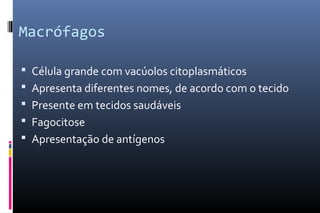Macrófagos
 Célula grande com vacúolos citoplasmáticos
 Apresenta diferentes nomes, de acordo com o tecido
 Presente em tecidos saudáveis
 Fagocitose
 Apresentação de antígenos
 