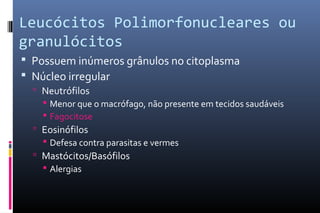 Leucócitos Polimorfonucleares ou
granulócitos
 Possuem inúmeros grânulos no citoplasma
 Núcleo irregular
 Neutrófilos
 Menor que o macrófago, não presente em tecidos saudáveis
 Fagocitose
 Eosinófilos
 Defesa contra parasitas e vermes
 Mastócitos/Basófilos
 Alergias
 