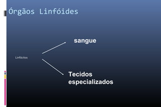 Órgãos Linfóides
Linfócitos
sangue
Tecidos
especializados
 