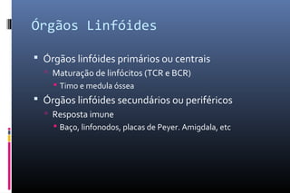 Órgãos Linfóides
 Órgãos linfóides primários ou centrais
 Maturação de linfócitos (TCR e BCR)
 Timo e medula óssea
 Órgãos linfóides secundários ou periféricos
 Resposta imune
 Baço, linfonodos, placas de Peyer. Amigdala, etc
 