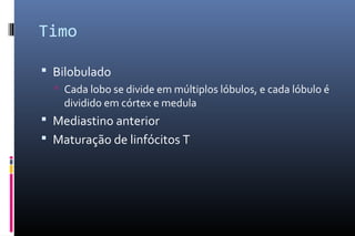 Timo
 Bilobulado
 Cada lobo se divide em múltiplos lóbulos, e cada lóbulo é
dividido em córtex e medula
 Mediastino anterior
 Maturação de linfócitos T
 