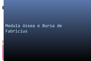 Medula óssea e Bursa de
Fabricius
 