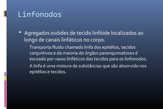 Linfonodos
 Agregados ovóides de tecido linfóide localizados ao
longo de canais linfáticos no corpo.
 Transporta fluido chamado linfa dos epitélios, tecidos
conjuntivos e da maioria do órgãos parenquimatosos é
escoado por vasos linfáticos dos tecidos para os linfonodos.
 A linfa é uma mistura de substâncias que são absorvido nos
epitélios e tecidos.
 