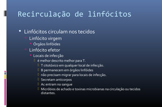 Recirculação de linfócitos
 Linfócitos circulam nos tecidos
 Linfócito virgem
 Órgãos linfóides
 Linfócito efetor
 Locais de infecção
 é melhor descrito melhor para T.
 T citotóxico em qualquer local de infecção.
 B permanecem em órgãos linfóides
 não precisam migrar para locais de infecção.
 Secretam anticorpos
 Ac entram no sangue
 Micróbios de achado e toxinas microbianas na circulação ou tecidos
distantes.
 