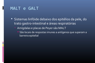 MALT e GALT
 Sistemas linfóide debaixo dos epitélios da pele, do
trato gastro-intestinal e áreas respiratórias
 Amígdalas e placas de Peyer são MALT
 São locais de respostas imunes a antígenos que superam a
barreira epitelial
 