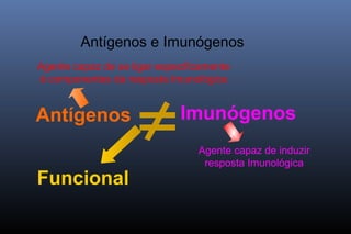 Antígenos e Imunógenos
Antígenos Imunógenos
≠
Agente capaz de se ligar especificamente
à componentes da resposta Imunológica
Agente capaz de induzir
resposta Imunológica
Funcional
 
