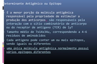 Determinante Antigênico ou Epítopo
- É a menor porção da molécula antigênica
responsável pela propriedade de estimular a
produção dos anticorpos, são responsáveis pela
interação com o sítio combinatório de anticorpo
ou do receptor de antígeno (TCR)‫‏‬ de lyT
- Tamanho médio de 7x14x34u, correspondendo a 4-6
resíduos de aminoácidos
- Cada antígeno pode conter um ou mais epítopos,
sendo iguais ou diferentes
- uma única molécula antigênica normalmente possui
vários epítopos diferentes
 