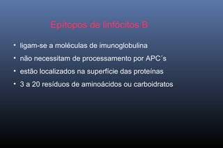 Epítopos de linfócitos B
• ligam-se a moléculas de imunoglobulina
• não necessitam de processamento por APC´s
• estão localizados na superfície das proteínas
• 3 a 20 resíduos de aminoácidos ou carboidratos
 
