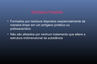 Epítopos lineares
• Formados por resíduos dispostos seqüencialmente de
maneira linear em um antígeno protéico ou
polissacarídico
• Não são afetados por nenhum tratamento que altere a
estrutura tridimensional da substância
 