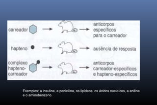 Exemplos: a insulina, a penicilina, os lipídeos, os ácidos nucleícos, a anilina
e o aminobenzeno.
 